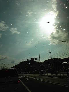 VCJI