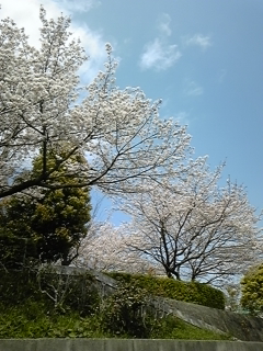 ܂炢Ă