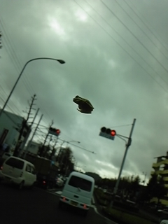 ǂĂȏ