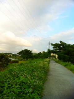 UrAc^